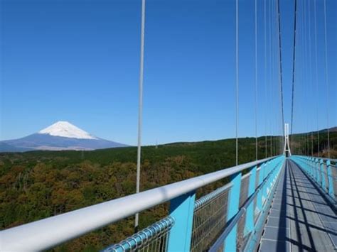 カップル 家 遊び|(参加者のレビュー一覧) バスツアー (観光ツアー) .